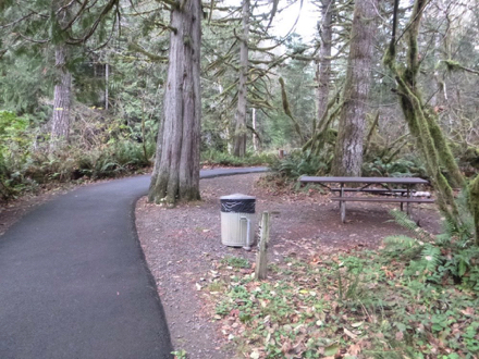 Picnic area with garbage can and accessible picnic table – paved trail with lip to gravel area at picnic site